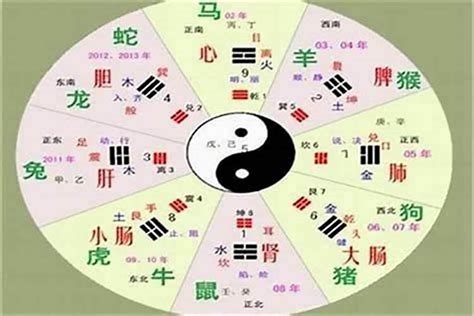 名字的五行|五格的五行属性